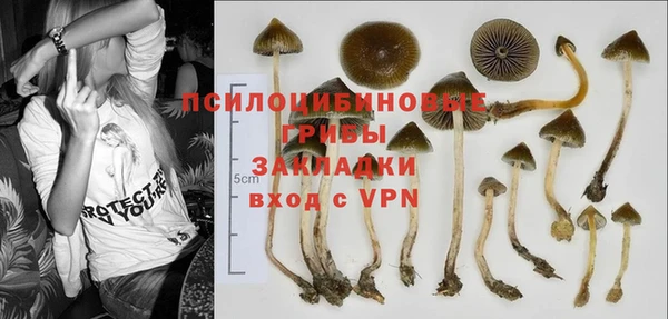 ECSTASY Алексеевка